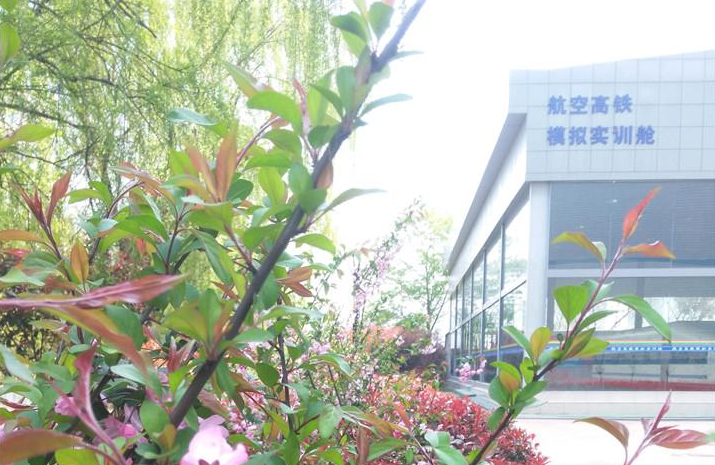 中职高职学校