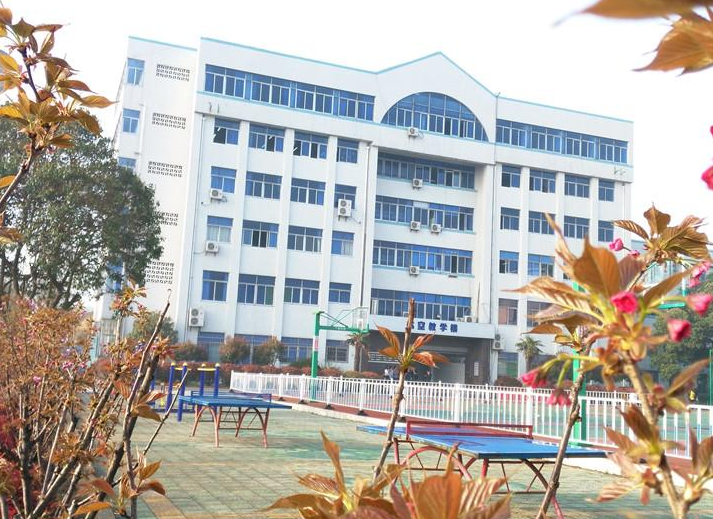 中职高职学校