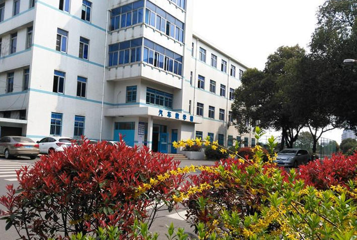 中职高职学校