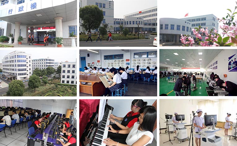 中职高职学校