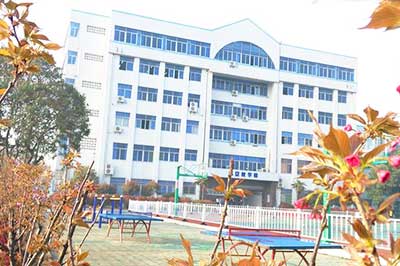 中职高职学校