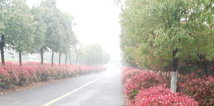 中职高职学校