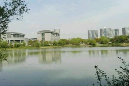 中职高职学校