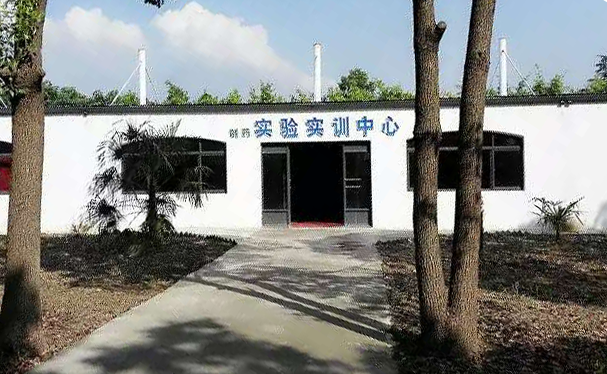 中职高职学校