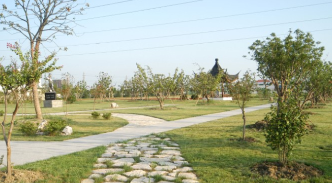 中职高职学校