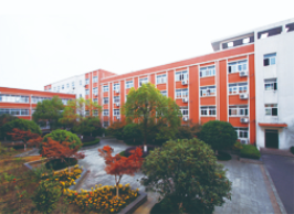 中职高职学校