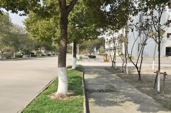 中职高职学校