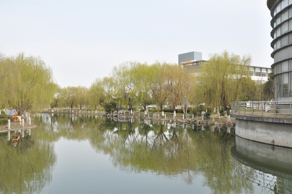 中职高职学校